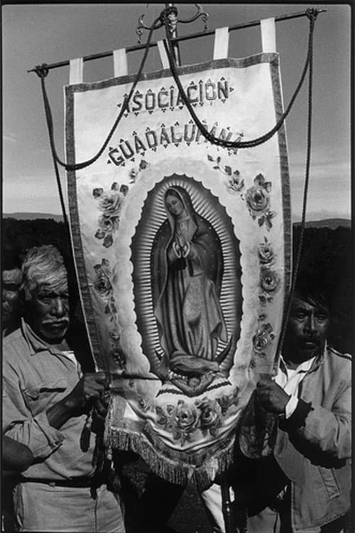 Poster for A Long Journey to Guadalupe