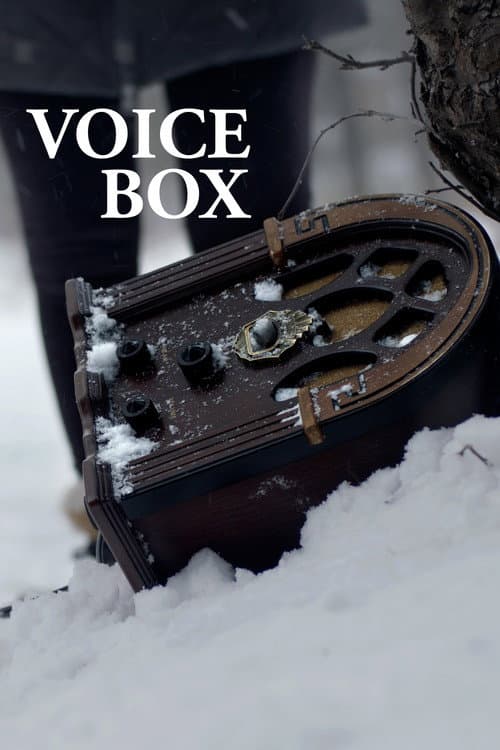 Poster for Voice Box