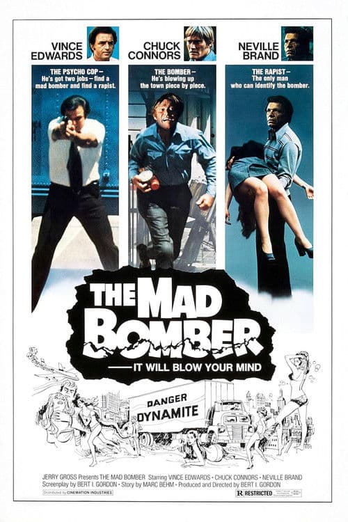 Poster for The Mad Bomber