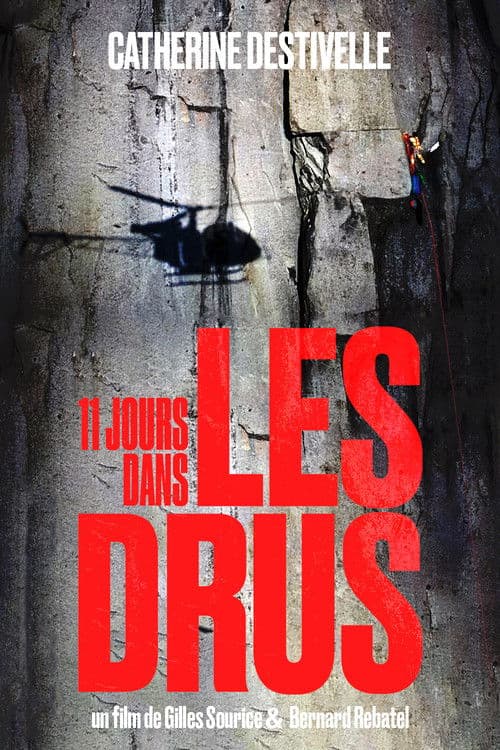Poster for 11 Days in the Drus