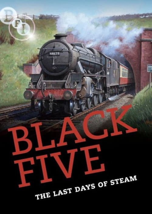 Poster for Black Five
