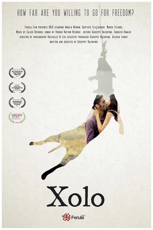 Poster for Xolo