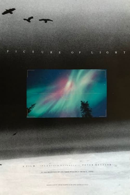Poster for Picture of Light