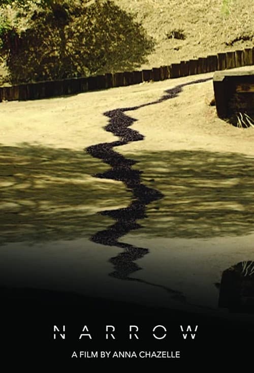 Poster for Narrow