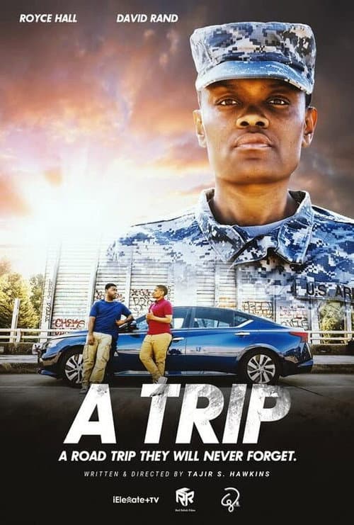 Poster for A Trip