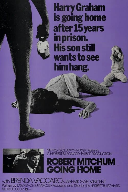 Poster for Going Home