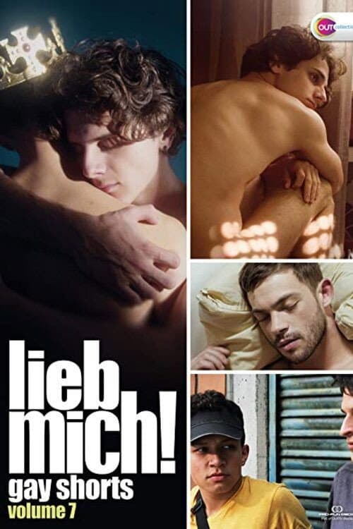 Poster for LIEB MICH! - Gay Shorts Volume 7