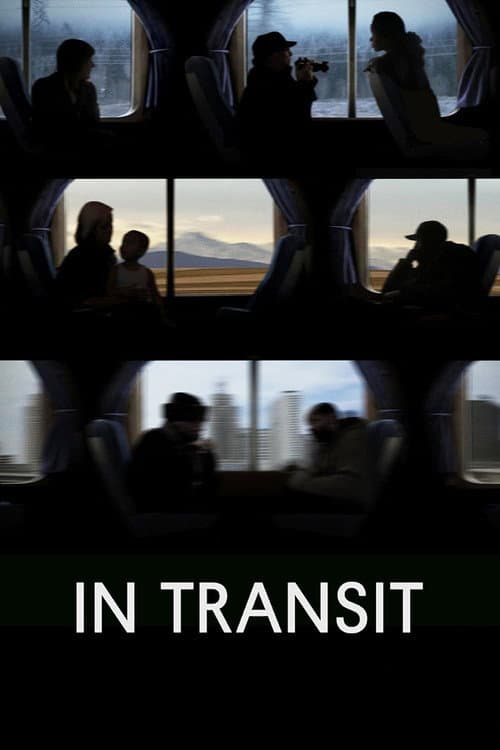Poster for In Transit