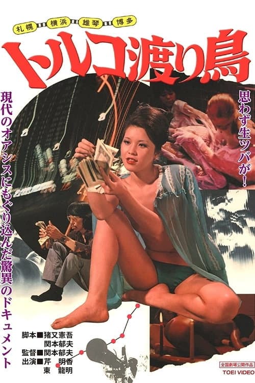 Poster for Sapporo, Yokohama, Ogoto, Hakata: Turkish Migratory Birds