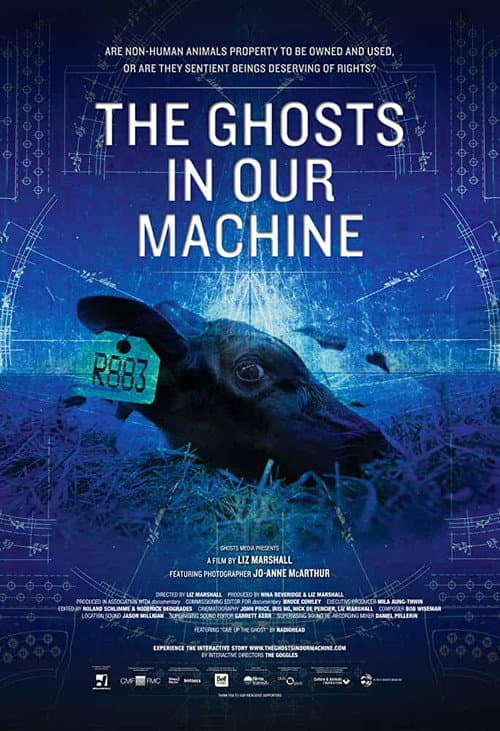 Poster for The Ghosts in Our Machine