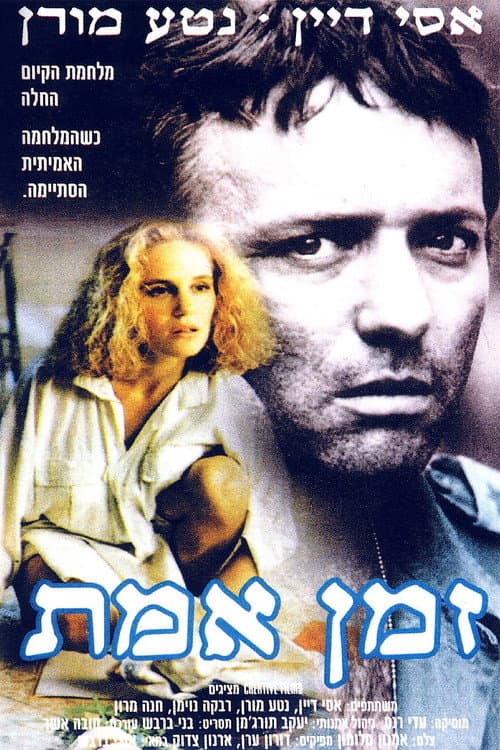 Poster for The War After