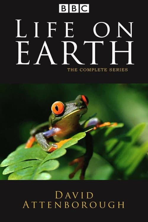 Poster for Life on Earth