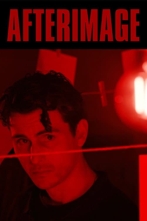 Poster for Afterimage