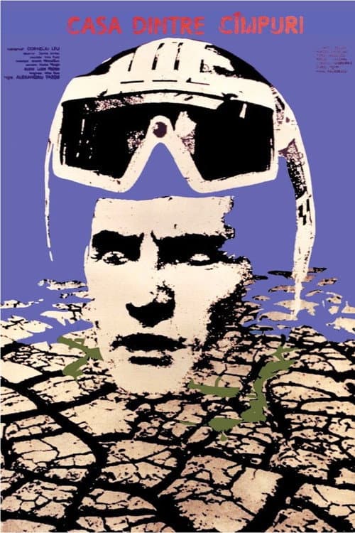 Poster for The House Between the Fields