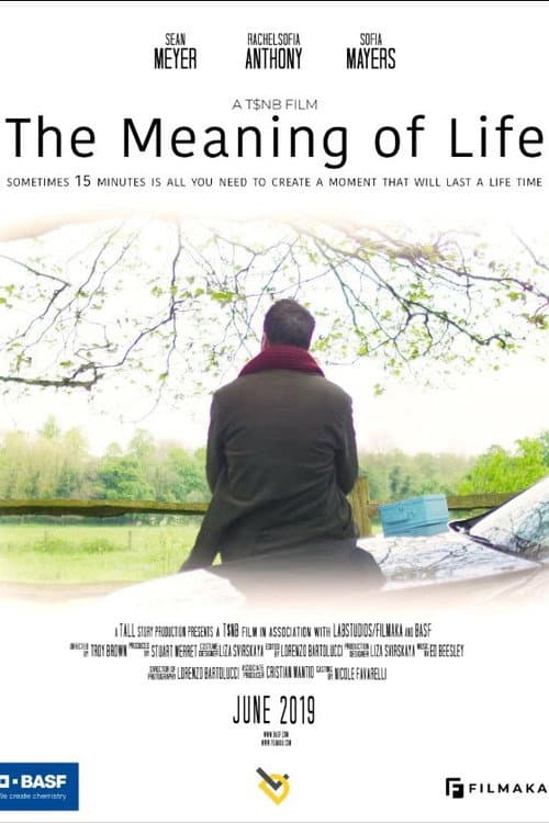 Poster for The Meaning of Life