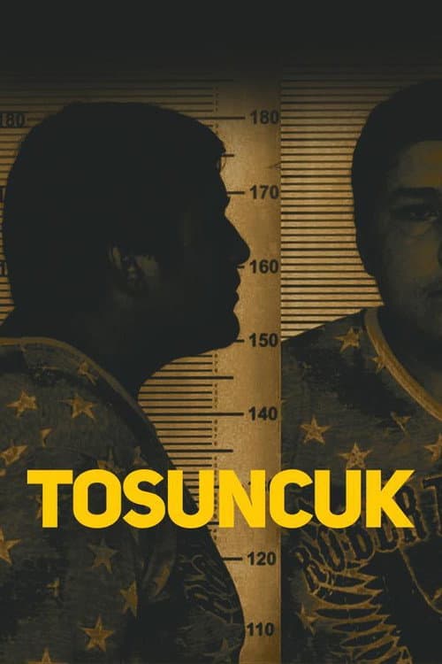 Poster for Tosuncuk