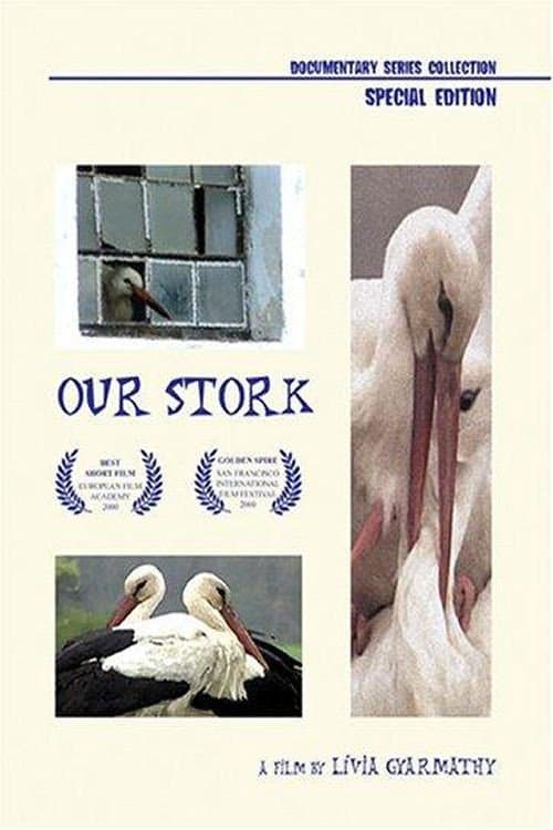 Poster for Our Stork