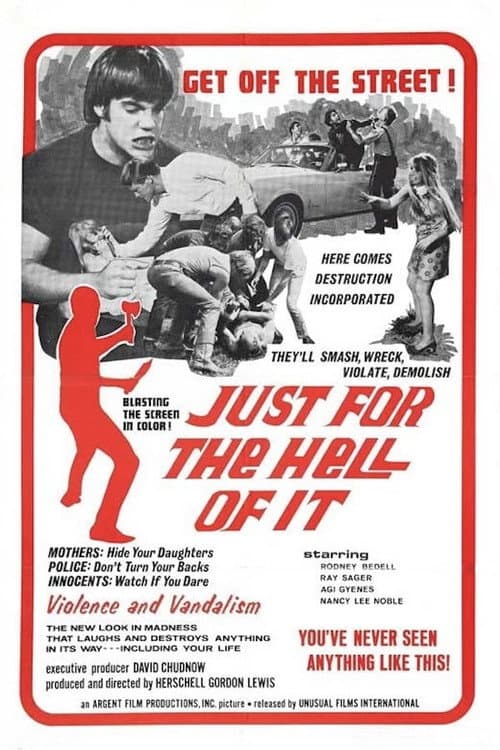 Poster for Just for the Hell of It