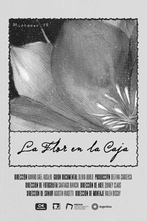 Poster for La Flor en la Caja