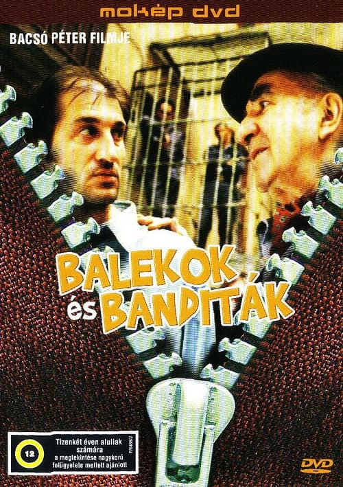 Poster for Gulls and Gangsters