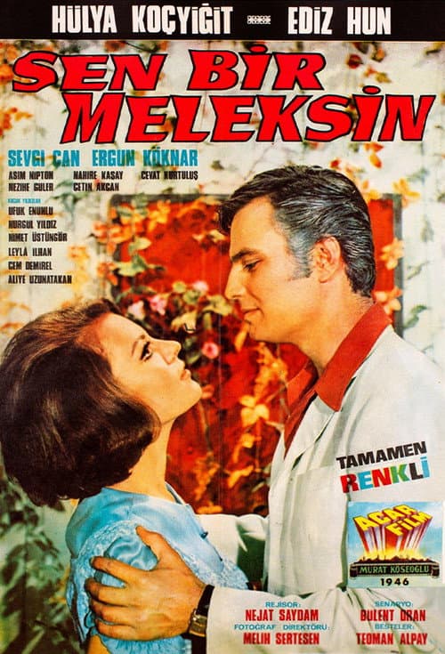 Poster for Sen Bir Meleksin