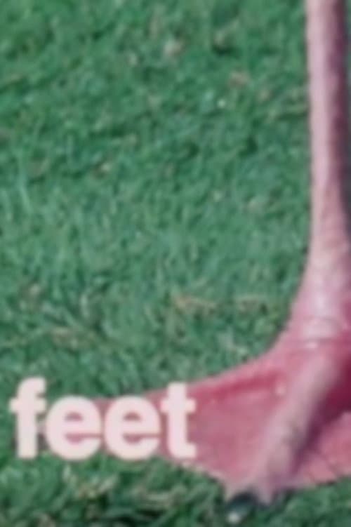 Poster for What Are Letters For?