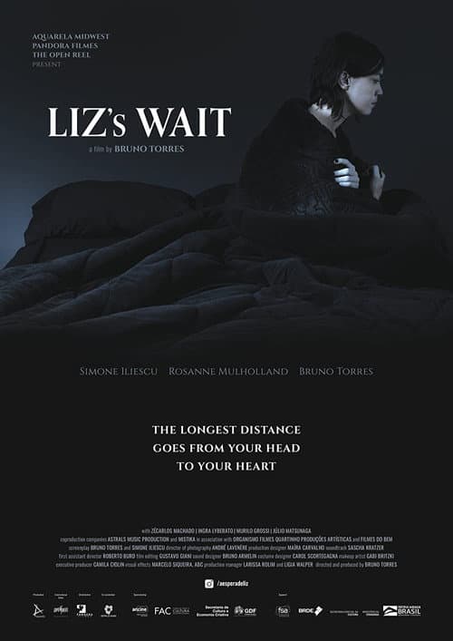 Poster for Liz's Wait