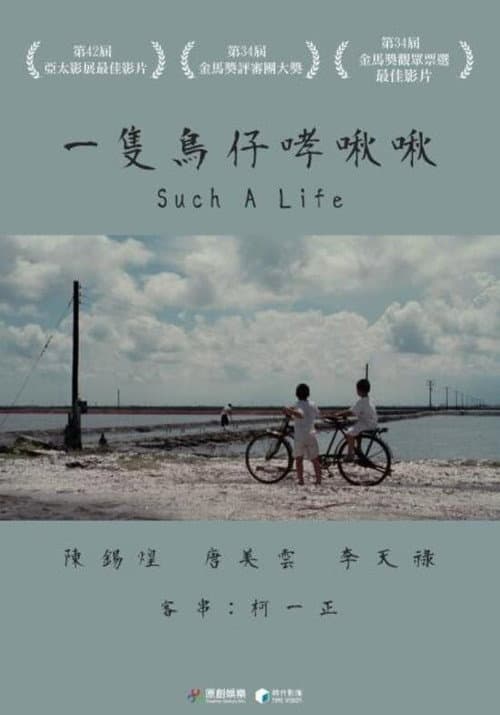 Poster for Such a life
