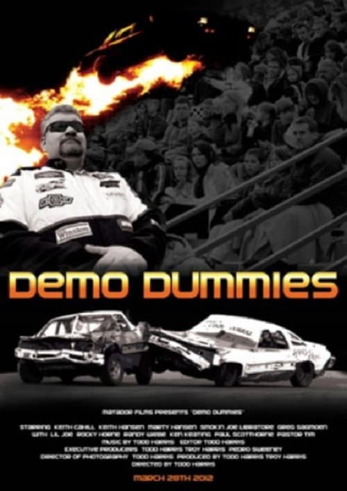 Poster for Demo Dummies