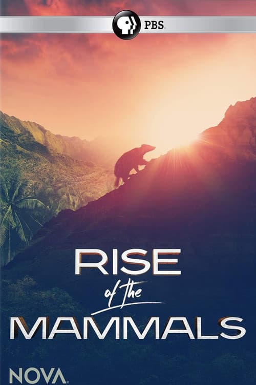 Poster for Rise of the Mammals
