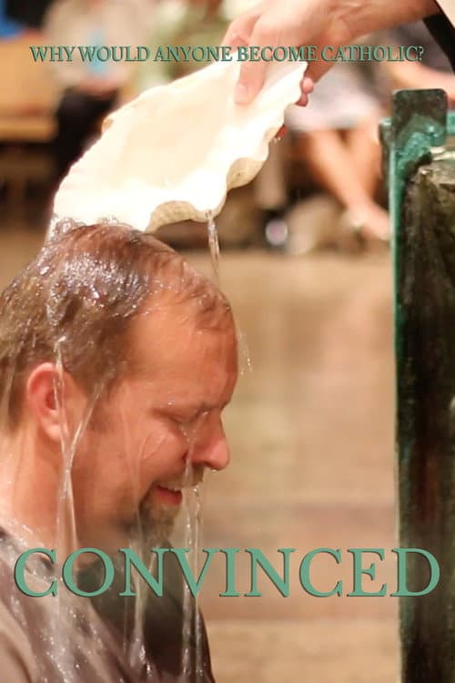 Poster for Convinced