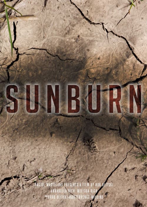Poster for Sunburn