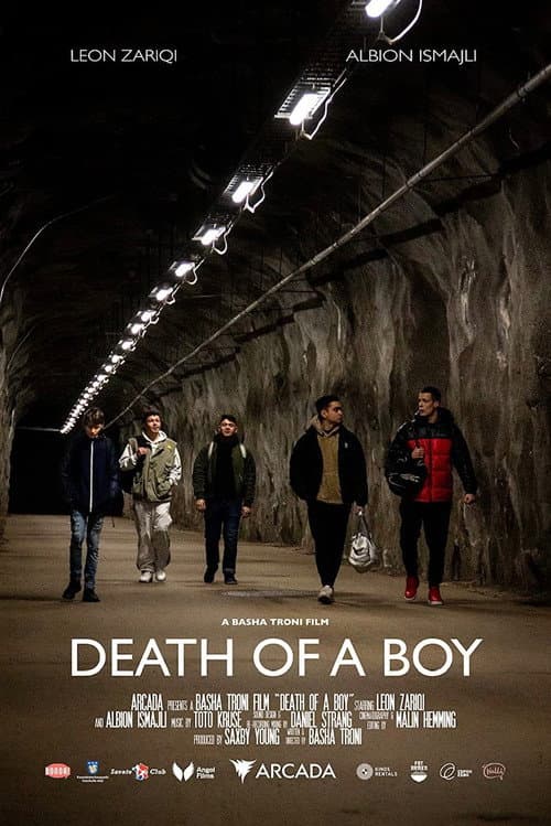 Poster for Death of a Boy