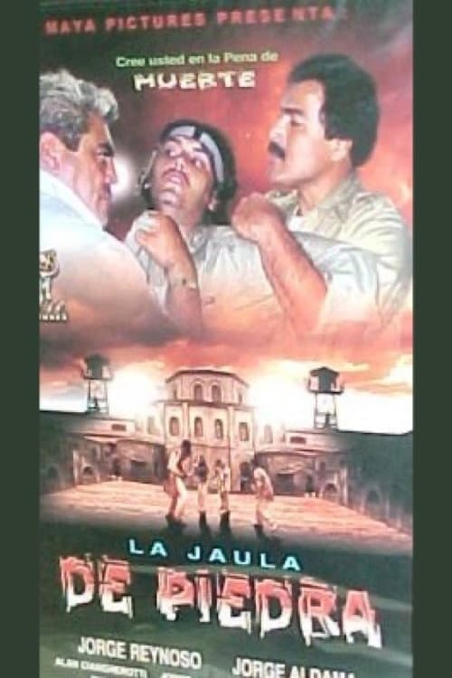 Poster for La jaula de piedra