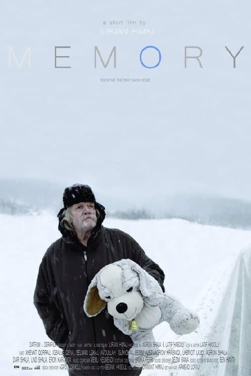 Poster for Memory
