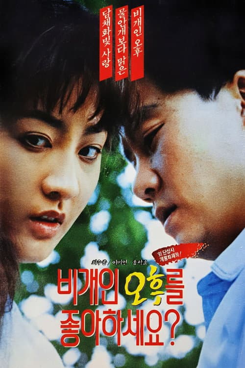 Poster for Do You Like Afternoons After a Storm?