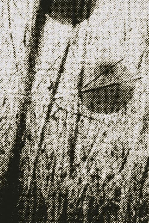 Poster for Across the Field