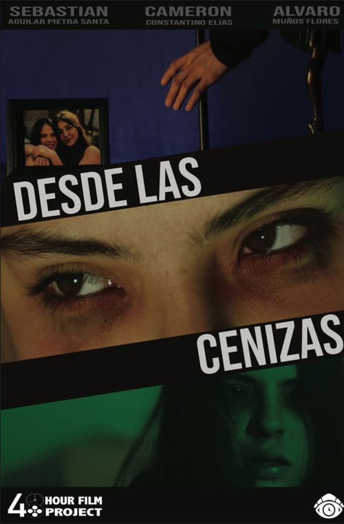 Poster for From the Ashes