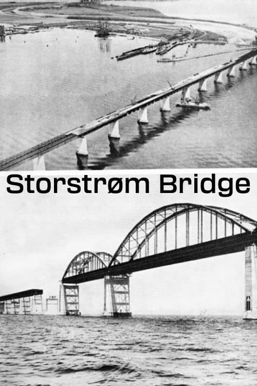 Poster for Storstrøm Bridge