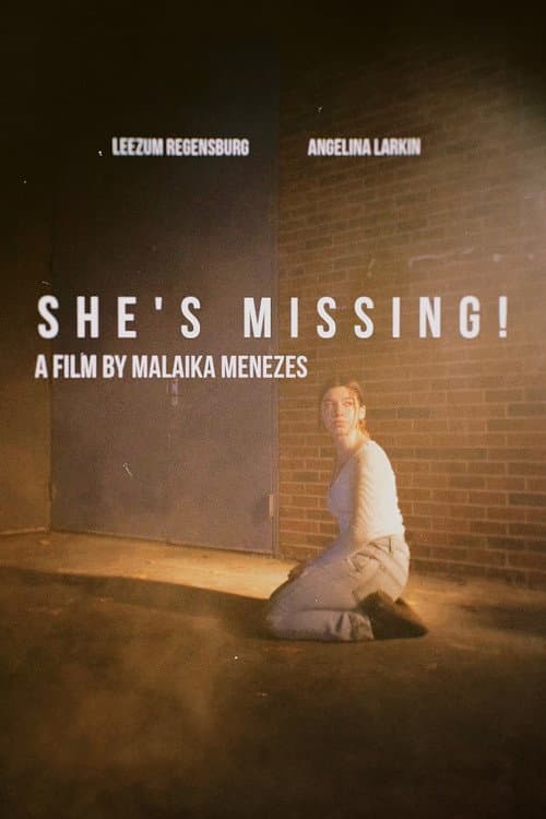 Poster for She's Missing!