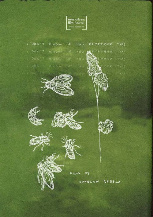 Poster for I Don't Know If You Remember This