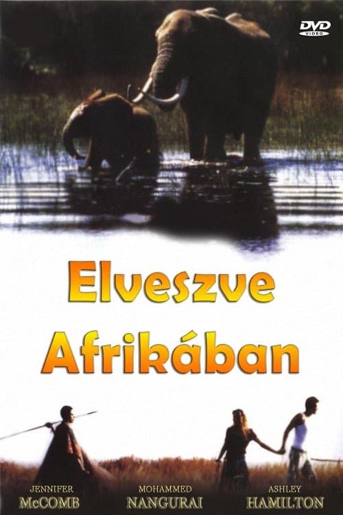 Poster for Lost in Africa