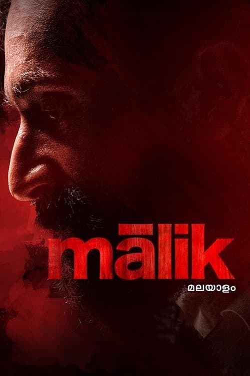 Poster for Malik