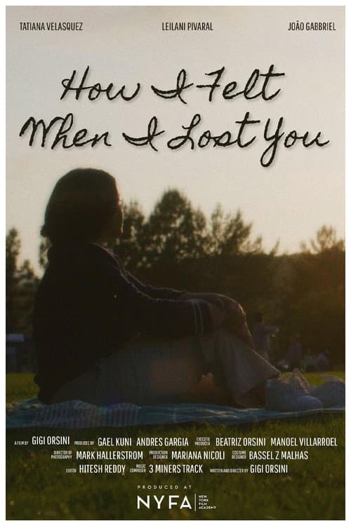 Poster for How I Felt When I Lost You