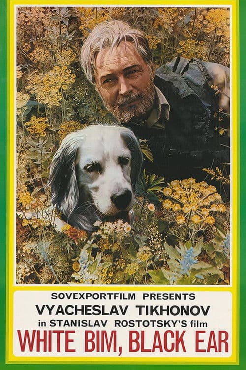Poster for White Bim Black Ear