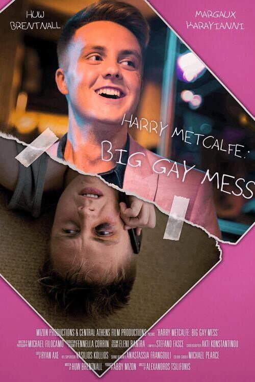 Poster for Harry Metcalfe: Big Gay Mess
