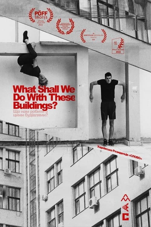 Poster for What Shall We Do With These Buildings?