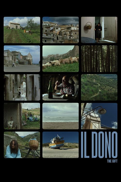 Poster for The Gift