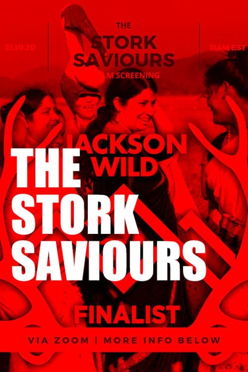 Poster for The Stork Saviours