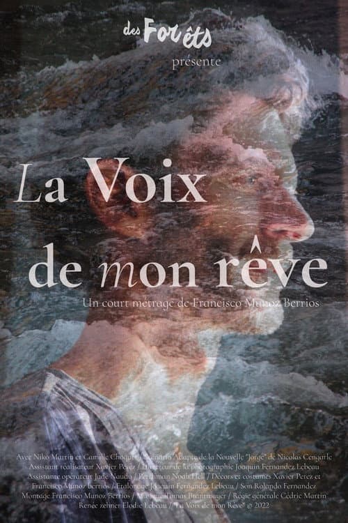 Poster for The Voice of My Dream